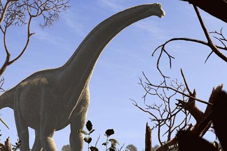 Argentinosaurus and Futalognkosaurus, pictured, from prehistoric South America, stretched more than 100 feet long and weighed in excess of 70 tons.