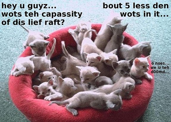 2012080611400608_06_2012_kitten-raft.jpg