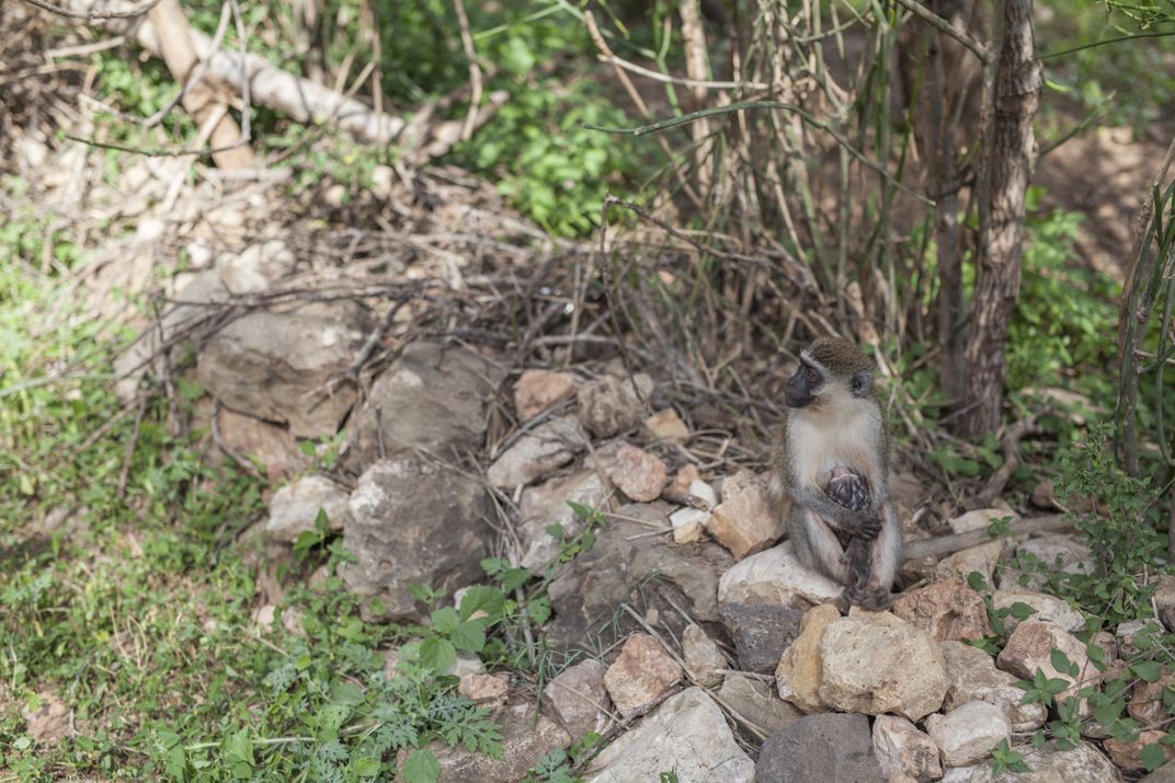 A Mama And Her Baby | Smithsonian Photo Contest | Smithsonian Magazine