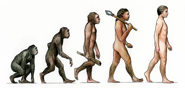 evolution of man