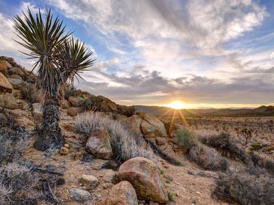 The sun rises over Joshua Tree National Park. The newlydesignated Castle Mountains, Mojave Trails and Sand to Snow national monuments will connect Joshua Tree to other federally protected lands in a massive 1.8-million-acre preservation bid. 
