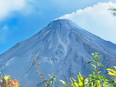 Some tourists may travel to Costa Rica to enjoy the tropical climate and Arenal volcano, but the real attraction is the country's wildlife.