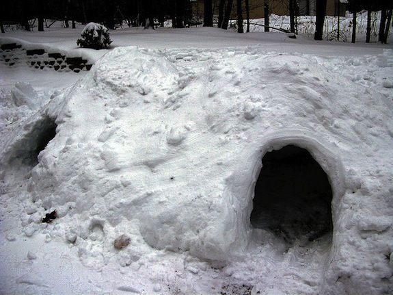 Let's Build Some Snow Forts!