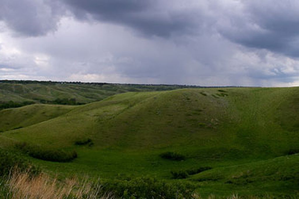 The land where the Clovis once hunted.