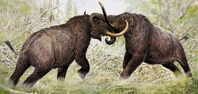 Mammoths and Mastodons: All American Monsters | Science| Smithsonian  Magazine