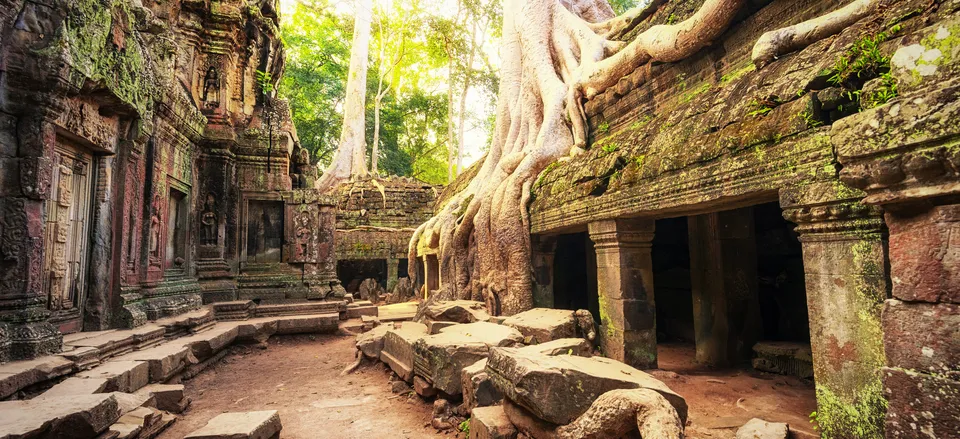  The iconic site of Ta Prohm, Angkor Wat 