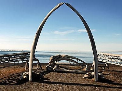 whale-bones-Barrow-Alaska-631.jpg