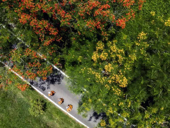 Path of Serenity thumbnail