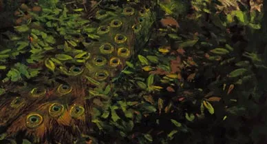 Thayer contended that even brilliantly plumaged birds like the peacock can blend into, and thus be camouflaged by, their habitats.  To illustrate his theory, he and his young assistant Richard Meryman painted Peacock in the Woods for Thayer's coloration book.