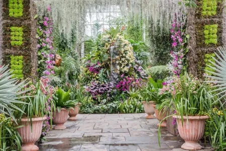 Waterfall Display

