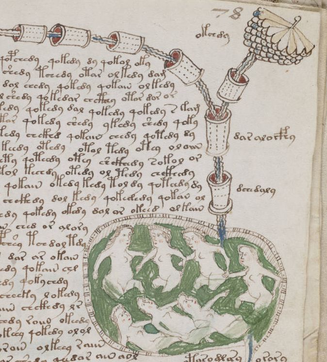 Voynich Manuscript2