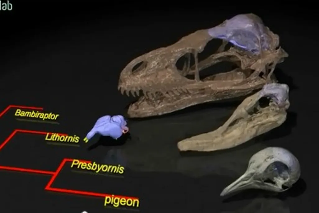 20111230091021dinosaur-smell-thumb.jpg