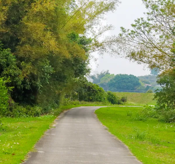 The Road Home thumbnail