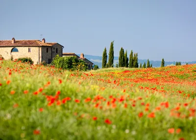 discover-tuscany-and-umbria-italys-enchanting-hill-towns