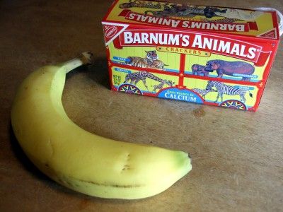 20110520090041animalcrackers-400x300.jpg