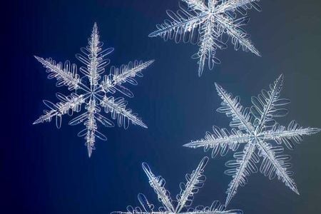 "Yellowknife Flurry," a photograph by Nathan Myhrvold, captures the intricate structure of snowflakes. 