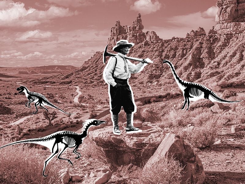 Paleontology6.jpg