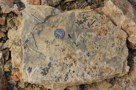 One of the flower-strewn slabs.