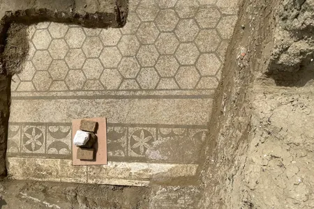 The ancient pool was lined with mosaics made with tesserae, or shaped tiles, of different materials.