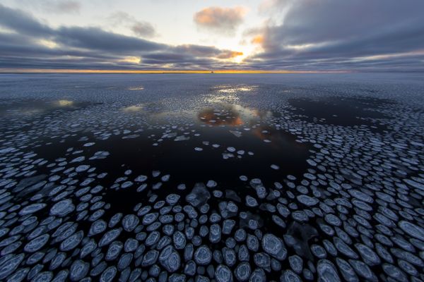 Polar morning in the pancake ice thumbnail