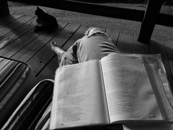 Reading a Bible on the porch thumbnail