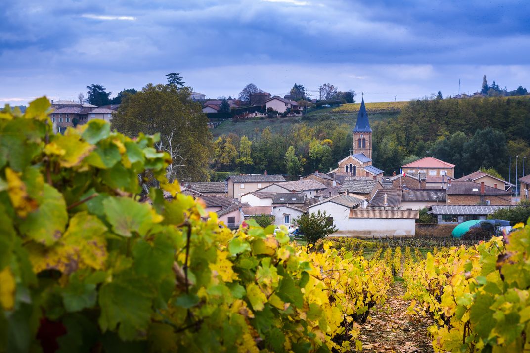 Village and vineyard in Beaujolais region