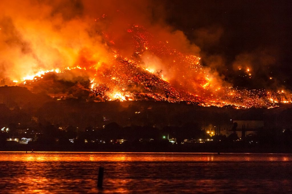Wildfire