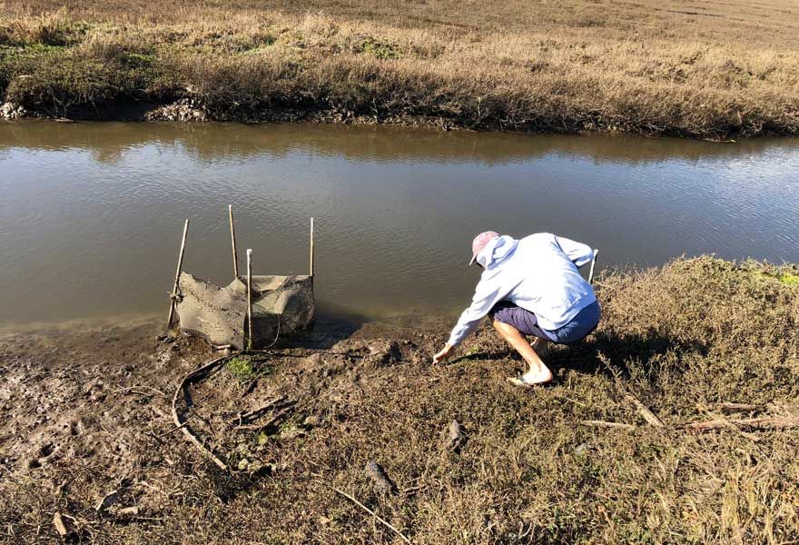 Parasites Field Work