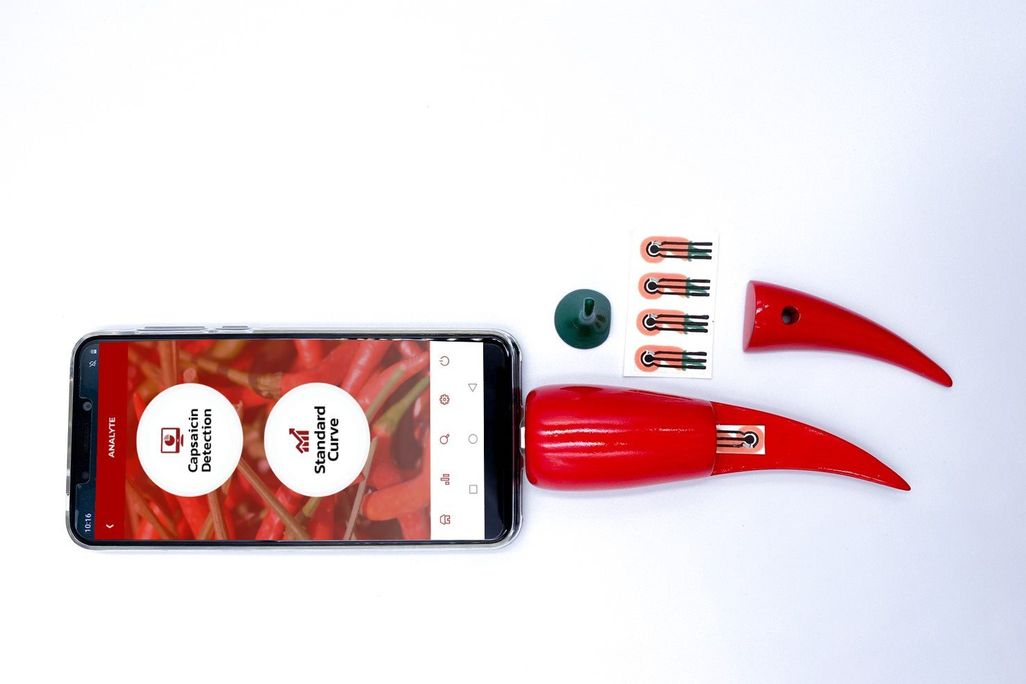 Chili pepper spice detector 
