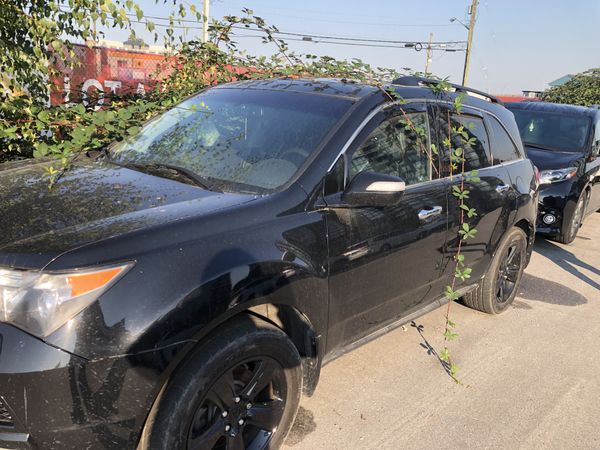 Parked car with wild blackberry vines draping over it thumbnail