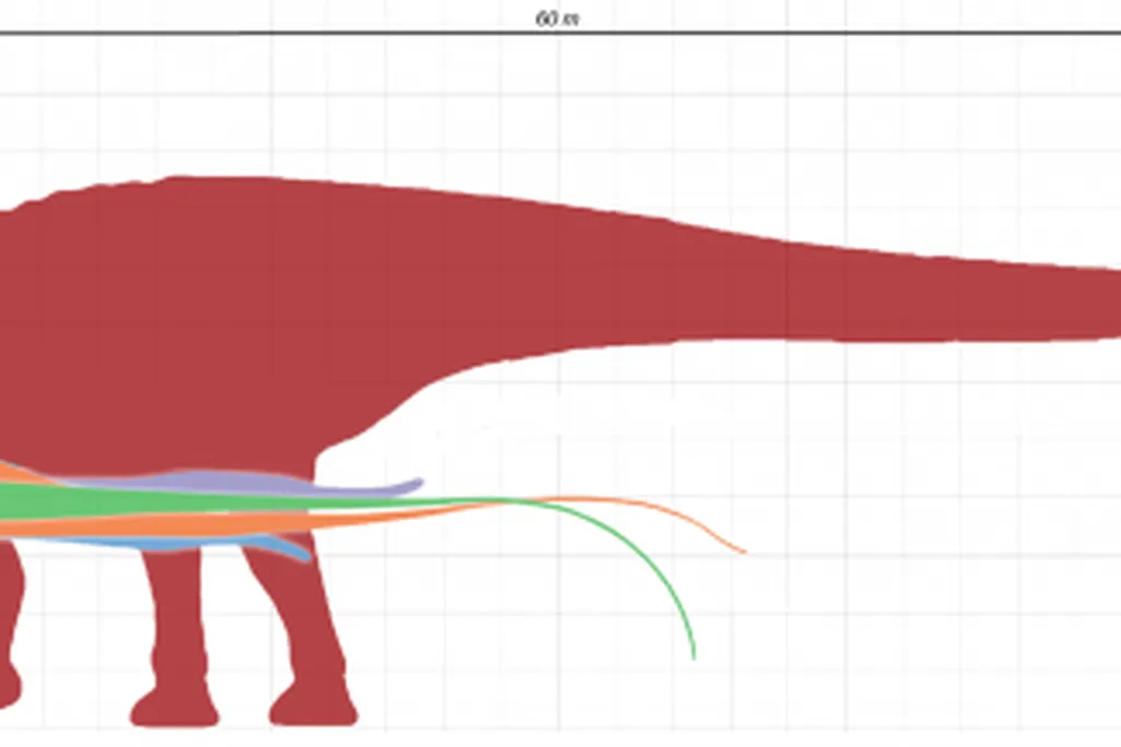 20110520083224sauropod-dinosaurs-size-1023x216.jpg
