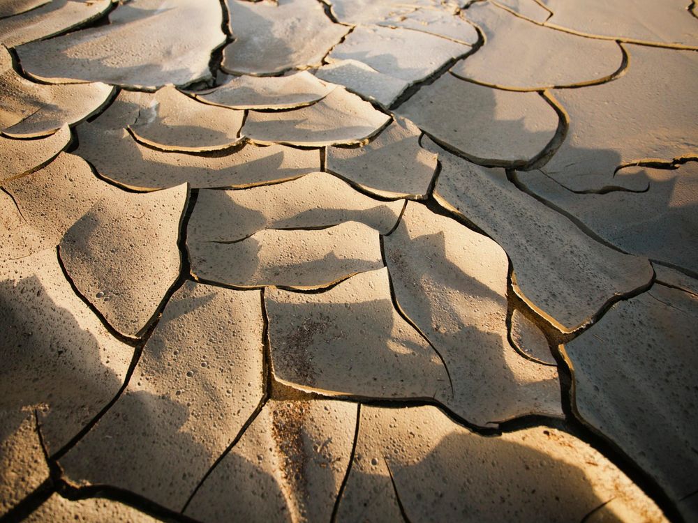 Cracked Earth