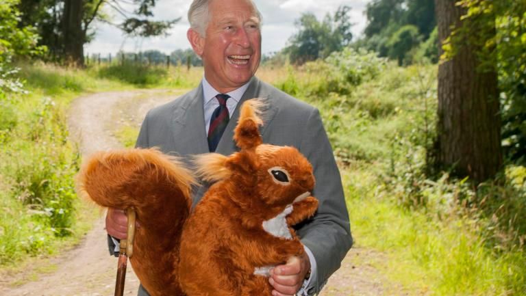 Prince Charles Squirrel
