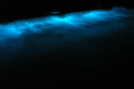 An example of the blue bioluminescence produced by microscopic organisms called dinoflagellates, which can chemically synthesize their own light