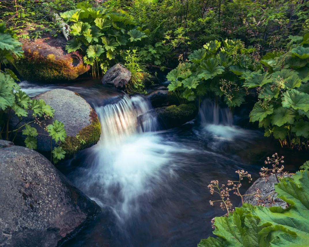Sunlight reflects off a small waterfall