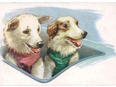 Portraits of Belka and Strelka—adorably dressed in their red and green spacesuits—appeared on postcards (shown here), chocolates, matchboxes, stamps, and toys soon after their orbital flight in 1960.  