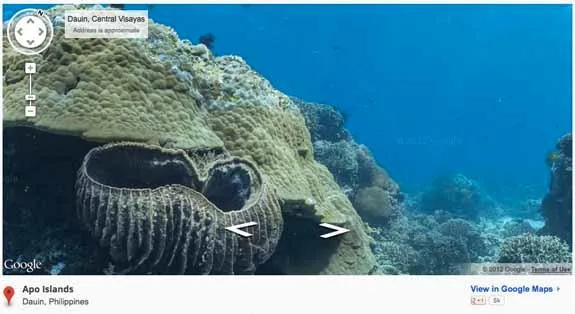 Google Brings Street View to the Great Barrier Reef