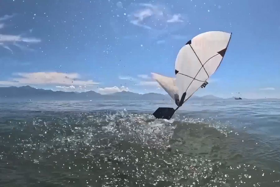 This Robot Can Flap Its Wings to Both Fly and Swim. It Might One Day Help Scientists Study Diving Birds and Survey Ocean Habitats
