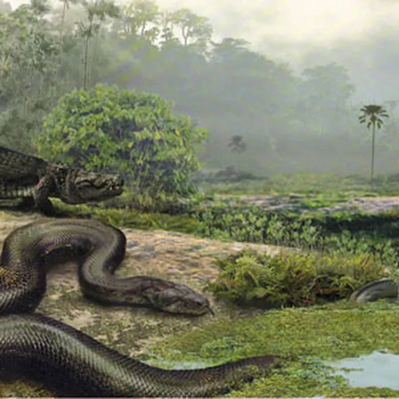 titanoboa