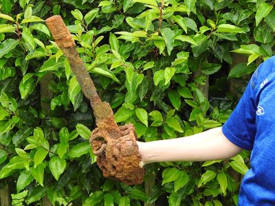 Ten-year-old Fionntan Hughes found the sword on his first day using a new metal detector.