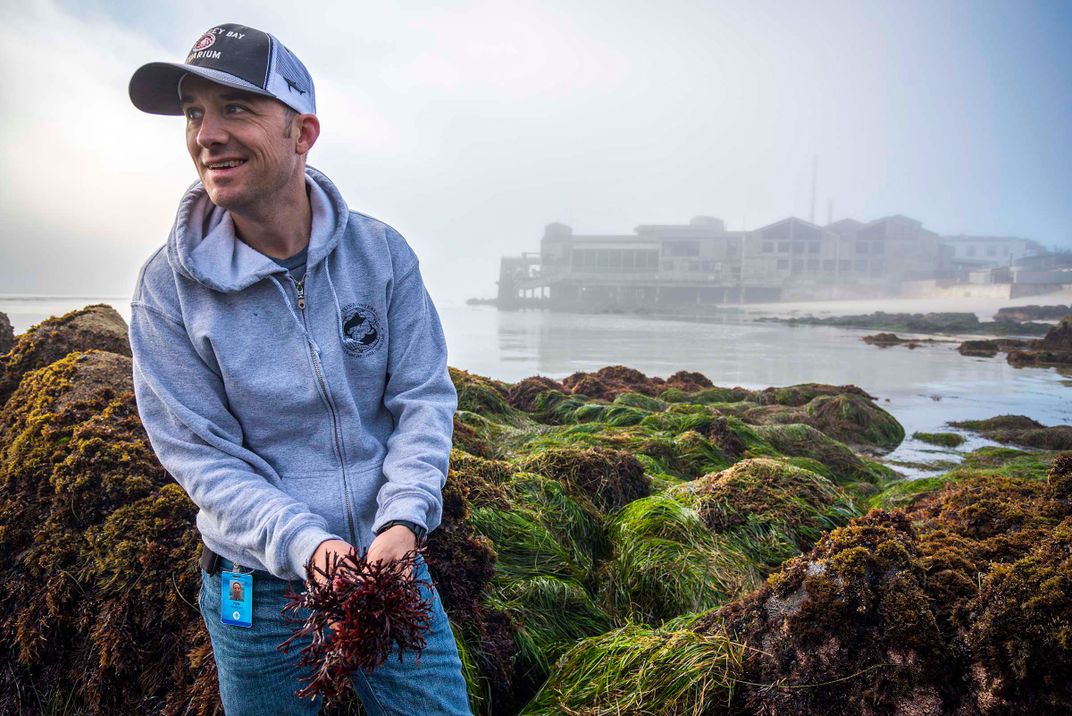 Scientists Use Century-Old Seaweed to Solve a Marine Mystery