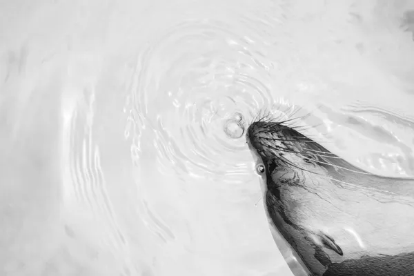 Take a breath thumbnail