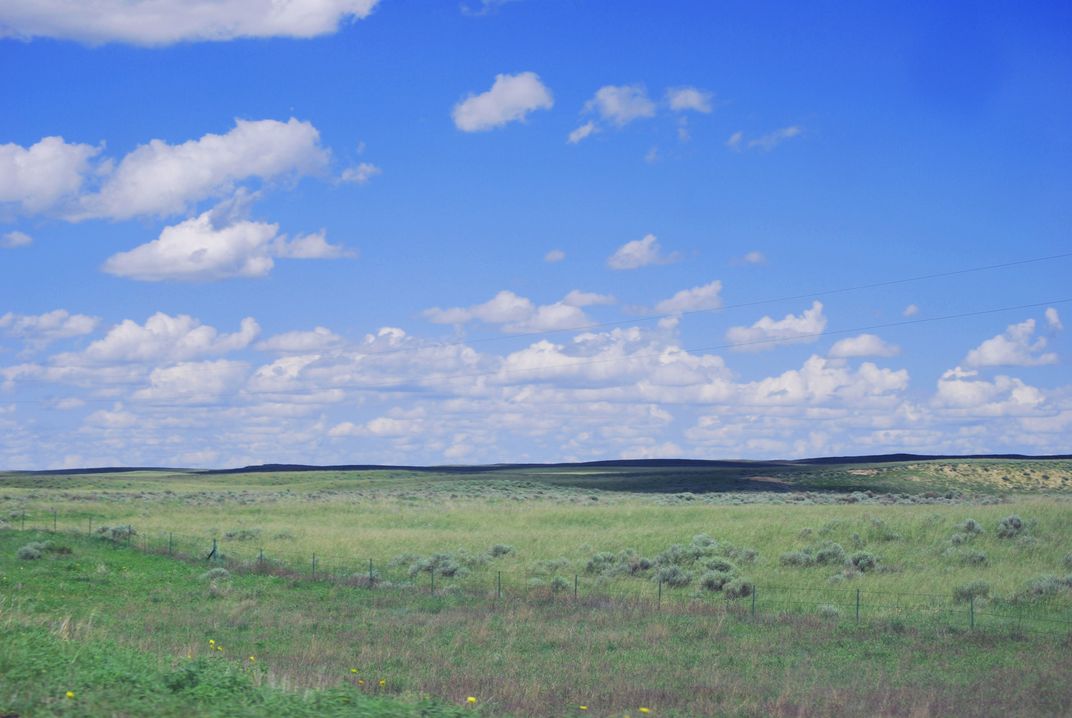 The plains by Atwood Colorado show the difference a wet spring can make ...