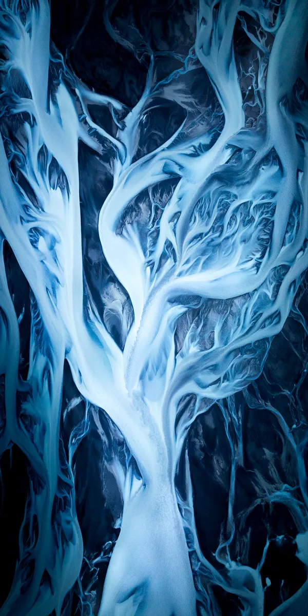 Bouquet of Flower - narrow thumbnail