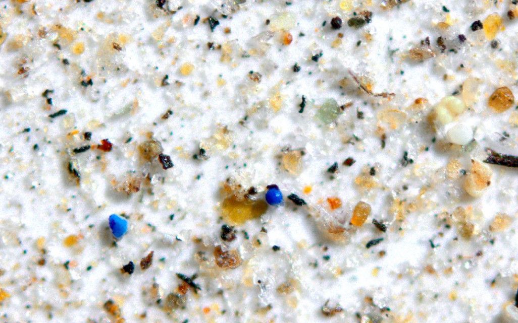 Microplastics 