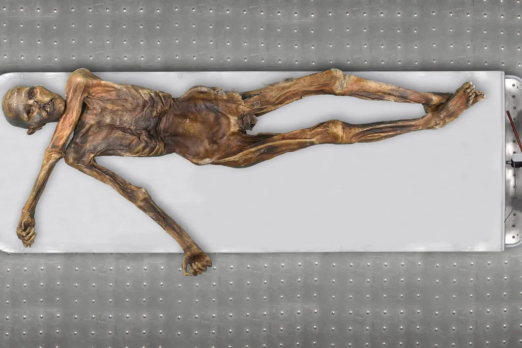 Otzi the Iceman