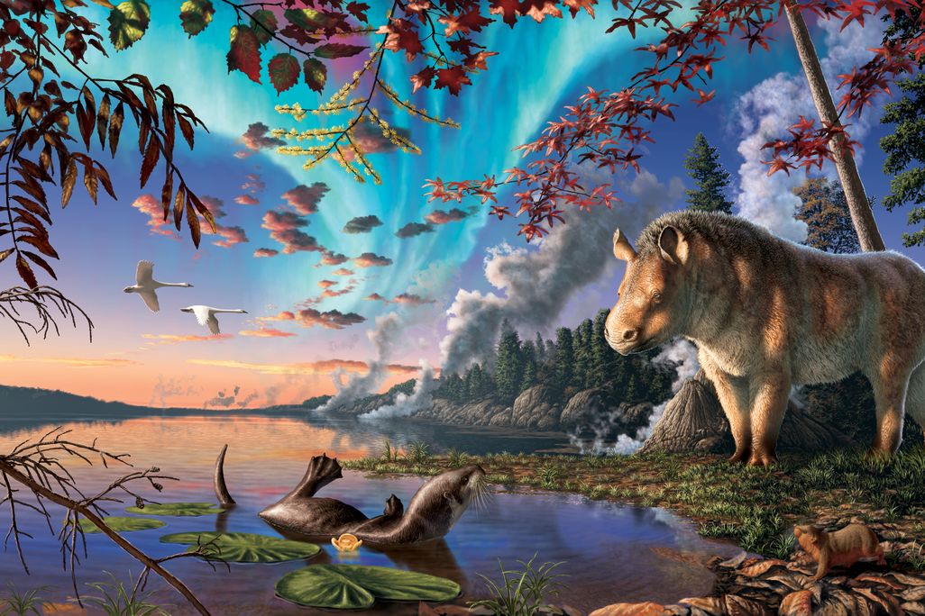 Illustration of a small rhino next to a lake