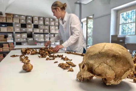 Analysis of a skeleton from an early medieval site