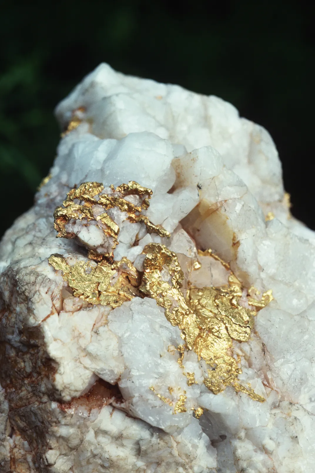 gold vein in quartz on a black background