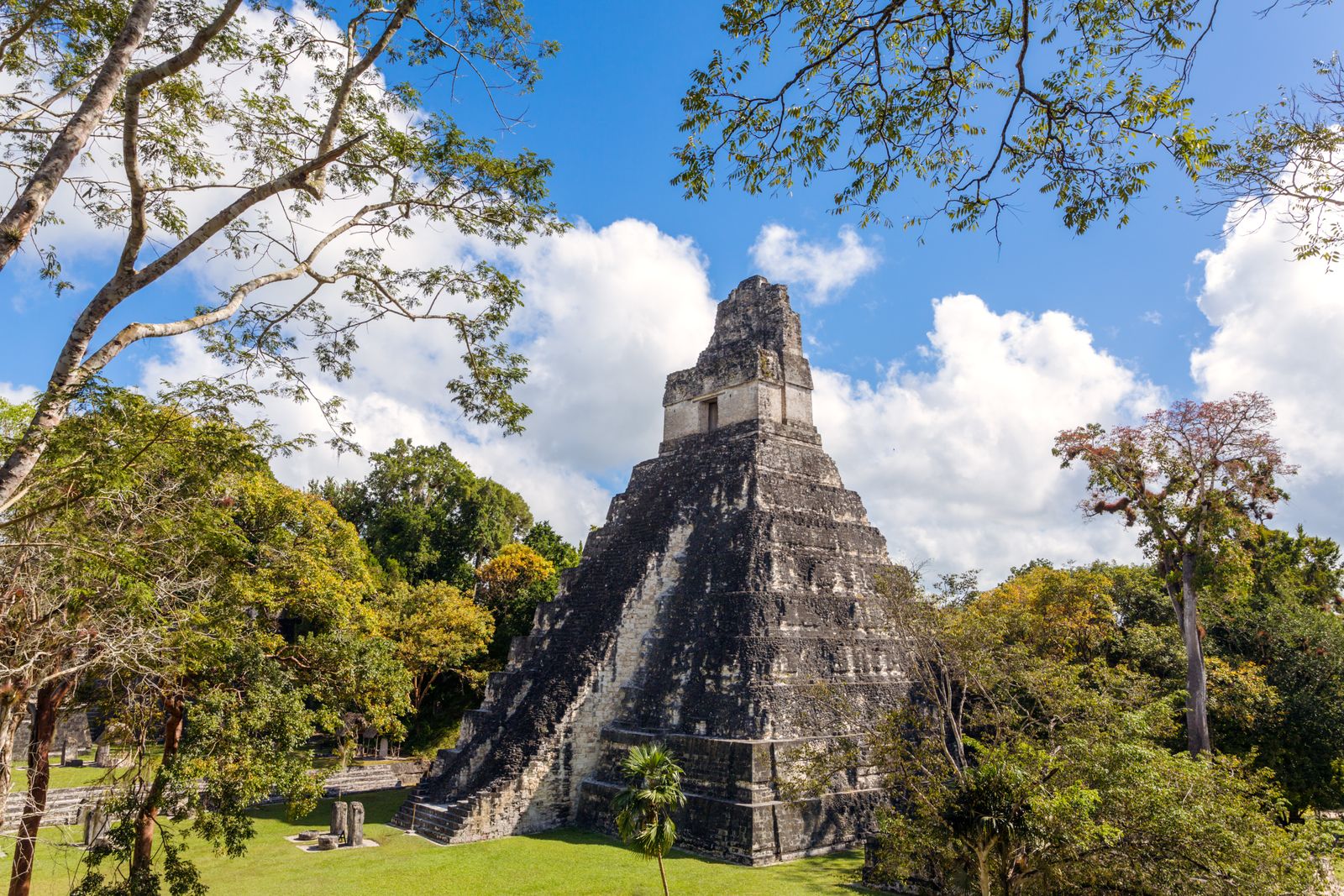 Las antiguas ciudades mayas fueron contaminadas con altos niveles de mercurio |  noticias inteligentes